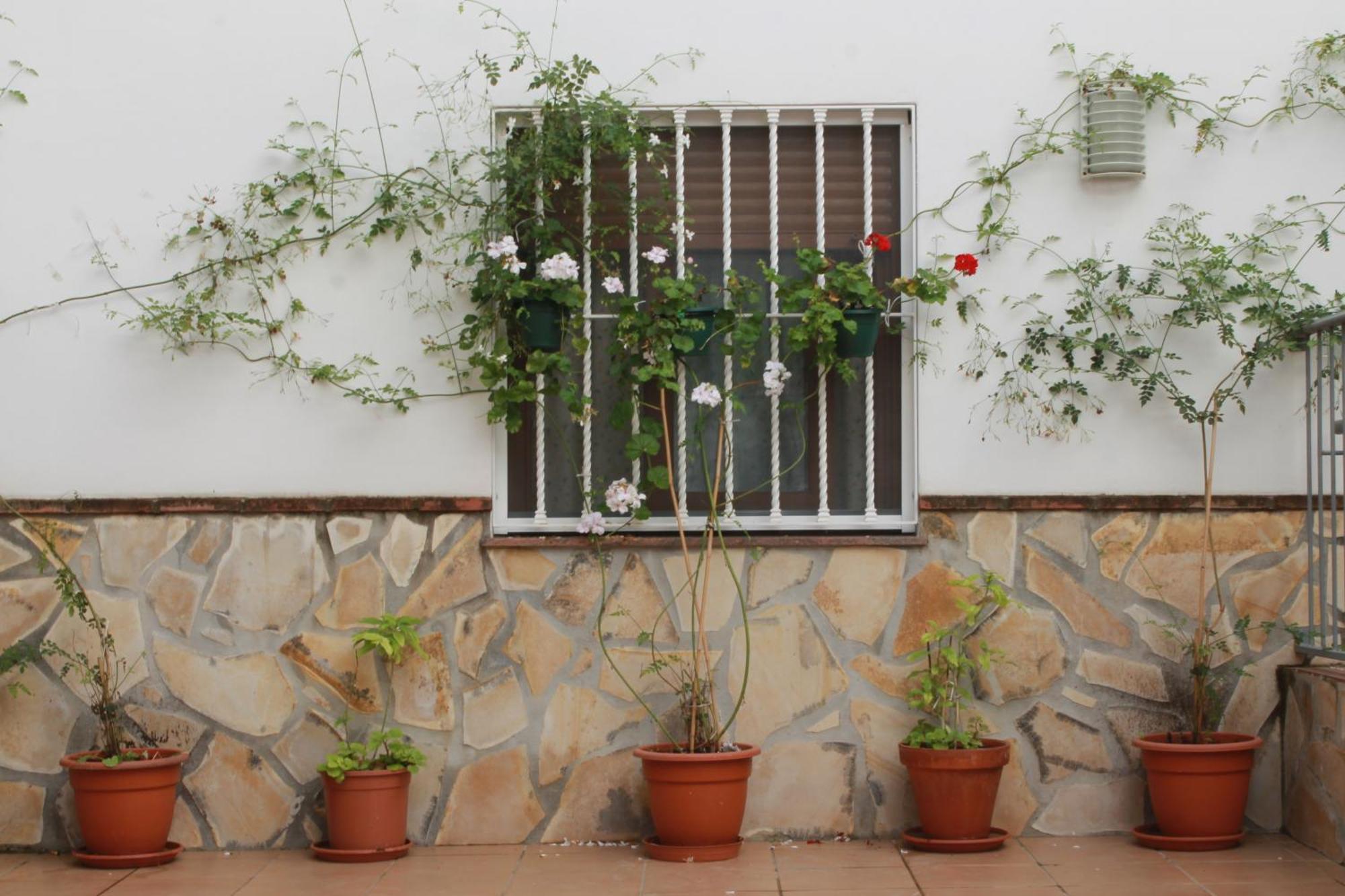 Casa Secreta Velez-Malaga Centro Apartment Bagian luar foto