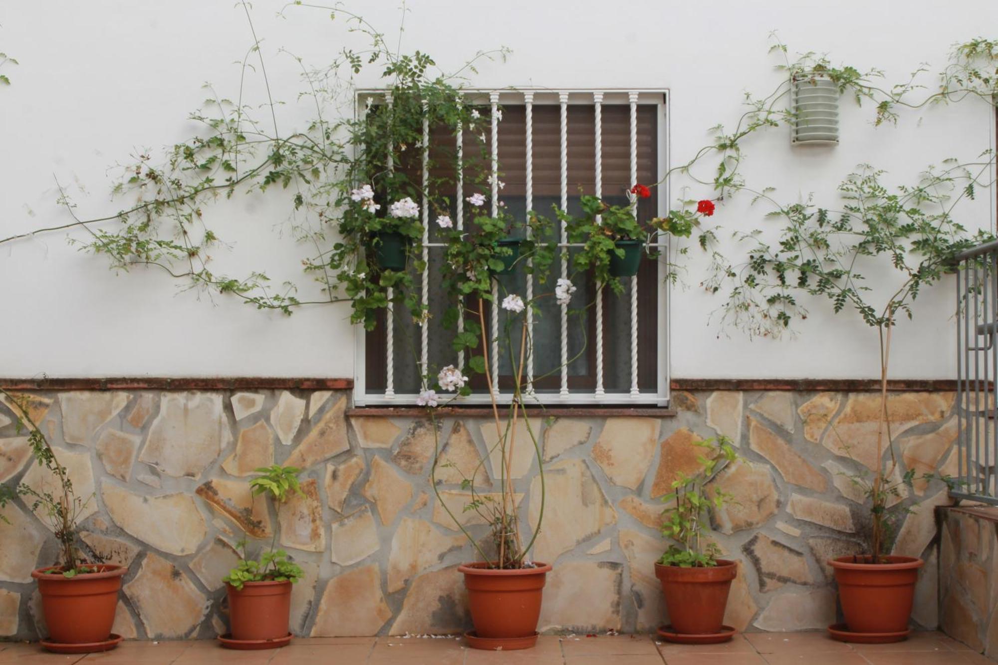 Casa Secreta Velez-Malaga Centro Apartment Bagian luar foto
